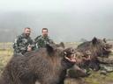 Jagd im Höfe (Kanton Schwyz), Schweiz: Demografie, Merkmale, Besonderheiten, Jagdstrategien, Wildarten, Jagdsaisons, Verbände, Jagdgesetze und Traditionen

Geografische Merkmale des Bezirks Höfe für die Jagd 

Der Bezirk Höfe im Kanton Schwyz bietet eine abwechslungsreiche Landschaft, die ideal für die Jagd ist. Die Region ist geprägt von sanften Hügeln, dichten Wäldern und ausgedehnten Weidelandschaften. Diese Lebensräume unterstützen eine Vielzahl von Wildtieren wie Hirsche, Rehe, Füchse und Wildschweine. Die Nähe zu den Flüssen und Seen bietet zusätzliche Möglichkeiten für die Jagd auf Wasservögel. Die abwechslungsreiche Topografie stellt eine besondere Herausforderung dar und bietet gleichzeitig eine reiche Jagderfahrung. Die Nähe zu städtischen Gebieten macht den Bezirk Höfe leicht zugänglich, während die ländliche Umgebung eine ruhige und naturbelassene Atmosphäre bietet.

Demografie des Bezirks Höfe 

Der Bezirk Höfe hat eine aktive Jagdgemeinschaft mit etwa 150 aktiven Jägern. Diese Jäger sind gut organisiert und engagieren sich in Naturschutzprojekten. Die meisten sind Mitglieder lokaler Jagdvereine, die regelmäßige Treffen und Schulungen anbieten, um ethische und nachhaltige Jagdpraktiken sicherzustellen. Die Jägergemeinschaft setzt sich aus Einheimischen und einigen internationalen Jägern zusammen, die von der einzigartigen Landschaft und dem reichen Wildbestand angezogen werden.

Besonderheiten der Jagd im Bezirk Höfe 

Die Jagd im Bezirk Höfe erfordert körperliche Fitness und ausgezeichnete Kenntnisse der lokalen Geografie. Die dichten Wälder und hügeligen Landschaften stellen hohe Anforderungen an die Jäger, die oft stundenlang wandern müssen, um ihre Beute zu finden. Die Jagd ist streng reguliert, um die Wildtierpopulationen gesund und nachhaltig zu halten. Jäger müssen strenge Vorschriften einhalten, einschließlich der Einhaltung von Jagdsaisons und der Verwendung geeigneter Waffen. Die Jagd im Bezirk Höfe ist bekannt für ihre Nachhaltigkeit und den Respekt vor der Natur.

Jagdarten und Jagdstrategien im Bezirk Höfe
 
Hochwildjagd: Fokus auf Hirsche und Rehe, die in den Wäldern und auf den Weiden weit verbreitet sind. Diese Jagd erfordert Geduld, Geschick und eine gute Kenntnis des Geländes. Schwarzwildjagd: Wildschweine sind ebenfalls weit verbreitet und stellen eine Herausforderung dar. Spezielle Taktiken und Waffen sind erforderlich, um diese intelligenten und kräftigen Tiere zu jagen. 
Kleinwildjagd: Füchse, Hasen und andere kleine Säugetiere werden oft mit Fallen oder kleinkalibrigen Waffen gejagt. Diese Jagdart erfordert präzise Schüsse und ein gutes Auge. 
Vogeljagd: Enten, Fasane und andere Vögel werden in den Feuchtgebieten und auf den Feldern gejagt. Diese Jagdart erfordert spezielle Kenntnisse und Ausrüstung.

Jagdsaisons im Bezirk Höfe 

Offizielle Saison: Die Hauptsaison für Hochwild wie Hirsche und Rehe beginnt im September und dauert bis Ende Dezember. Die Schwarzwildjagd ist das ganze Jahr über erlaubt, jedoch mit Einschränkungen während der Brutzeit. 
Schonzeiten: Während der Schonzeiten von Januar bis August ist die Jagd auf bestimmte Wildtierarten verboten, um die Populationen zu schützen. 
Sonderschutz: Für bestimmte Arten wie den Fuchs gelten spezielle Schutzbestimmungen, um die Populationen zu regulieren und zu schützen.

Jagdvereine und -clubs im Bezirk Höfe 

Höfe Jagdverein: Der Hauptverband für Jäger im Bezirk Höfe, der Schulungen, Workshops und regelmäßige Treffen anbietet. Der Verein setzt sich für nachhaltige Jagdpraktiken und den Schutz der Wildtiere ein. 
Lokale Jagdvereine: Mehrere lokale Vereine spezialisieren sich auf bestimmte Jagdarten oder Wildtierarten und bieten Unterstützung und Schulungen. Diese Vereine arbeiten eng mit den lokalen Behörden zusammen, um die Jagd zu regulieren und zu überwachen. Naturschutzorganisationen: Diese arbeiten eng mit Jägern zusammen, um nachhaltige Jagdpraktiken zu fördern und die Biodiversität zu erhalten.

Jagdgesetze im Bezirk Höfe 

Lizenzen: Jäger benötigen eine gültige Jagdlizenz, die von den kantonalen Behörden ausgestellt wird. Die Lizenz ist an strenge Auflagen gebunden, einschließlich regelmäßiger Schulungen und Einhaltung der Jagdsaisons. 
Waffen: Die Verwendung von Schusswaffen ist streng reguliert. Jäger müssen sicherstellen, dass ihre Waffen den gesetzlichen Anforderungen entsprechen und ethisch eingesetzt werden. Verbote: Die Jagd in Naturschutzgebieten und in der Nähe von Wohngebieten ist verboten. Jäger müssen Sicherheitsabstände zu Straßen und Wanderwegen einhalten. 

Traditionen der Jagd in Höfe

Zu Beginn der Saison finden traditionelle Eröffnungsjagden statt, die oft mit gemeinsamen Essen verbunden sind. Trophäenpräsentationen bei lokalen Anlässen sind ein wichtiger Bestandteil der Jagdkultur und eine Gelegenheit, Erfolge zu feiern. Die Zusammenarbeit von Jägern mit Landwirten und Naturschützern zur Förderung nachhaltiger Praktiken und zum Schutz der Wildtierbestände ist ebenfalls eine gelebte Tradition.

Wissenswertes zur Jagd in Höfe

Der Bezirk ist bekannt für beeindruckende Trophäen, darunter einige der stärksten Hirsche und Keiler der Schweiz. Die Einnahmen aus der Jagd leisten einen wichtigen Beitrag zum Naturschutz, etwa zur Erhaltung der Artenvielfalt. Die besonderen Herausforderungen der Jagd im hügeligen Gelände und den dichten Wäldern machen den Bezirk Höfe zu einem einzigartigen Jagdrevier, das besondere Fähigkeiten erfordert.
