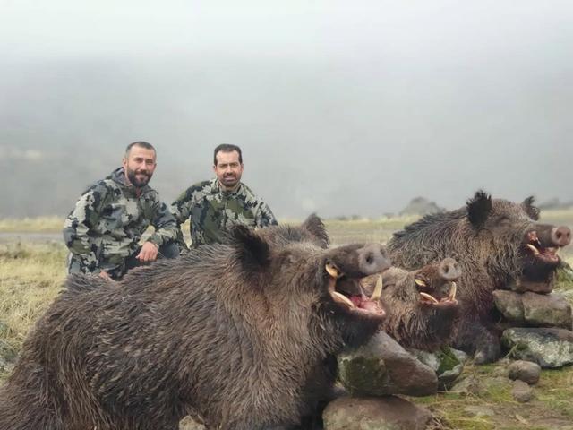 <strong>Jagd</strong> im Höfe (Kanton Schwyz), Schweiz: Demografie, Merkmale, Besonderheiten, Jagdstrategien, Wildarten, Jagdsaisons, Verbände, Jagdgesetze und Traditionen