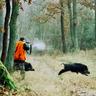 Hunting in Poland avatar