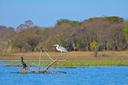 Hunting in ZAMBEZIA: Wildlife, Traditions, and Conservation in Mozambique’s Prime Hunting Destination

Nestled in the heart of Mozambique, Zambezia is a hunter’s dream de