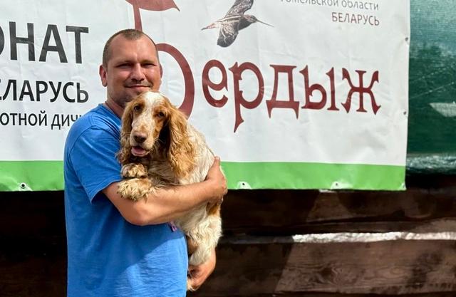 Чемпионат спаниелей «Бердыж-2025»: как Беларусь определила Полевого Чемпиона по болотной дичи 🐾