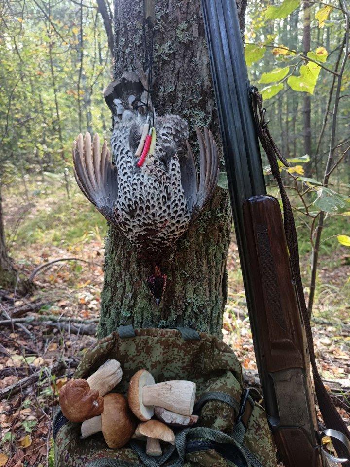 Photo from news post