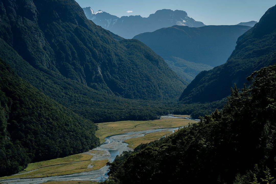 Hunting in Catlins Forest: find curious hunting facts, seasons, laws, clubs and associations in the heart of New Zealand