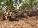Hunting in the ZAMBEZI VALLEY: Wildlife, Traditions, and Challenges in One of Africa’s Most Iconic Hunting Destinations

The Zambezi River Valley, in the heart of Africa,