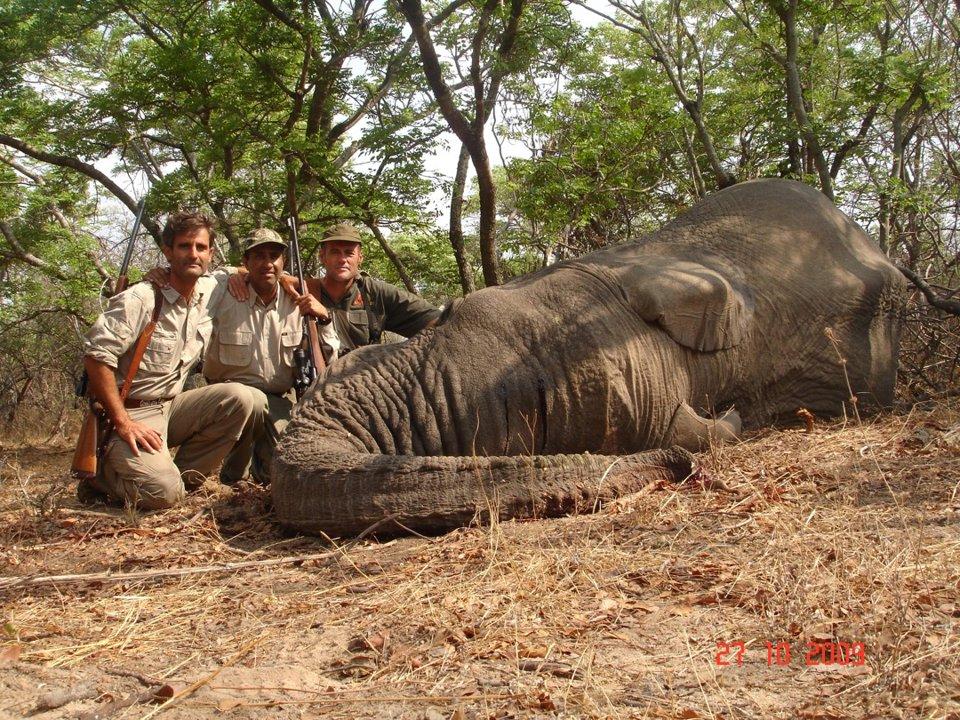 Hunting in the ZAMBEZI VALLEY: Wildlife, Traditions, and Challenges in One of Africa’s Most Iconic Hunting Destinations