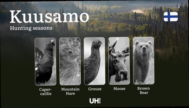<strong>Hunting</strong> Seasons in KUUSAMO: Key Dates, Optimal <strong>Hunting</strong> Periods, Vital Regulations, Licensing Process and Requirements