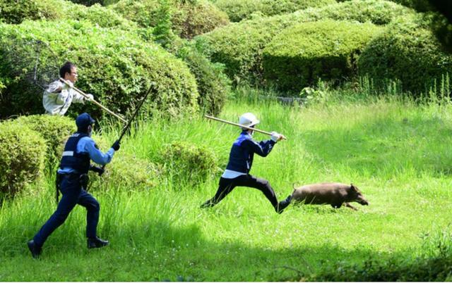 Photo from news post