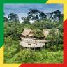 Kongo: All About Hunting and Fishing, News, Forum avatar