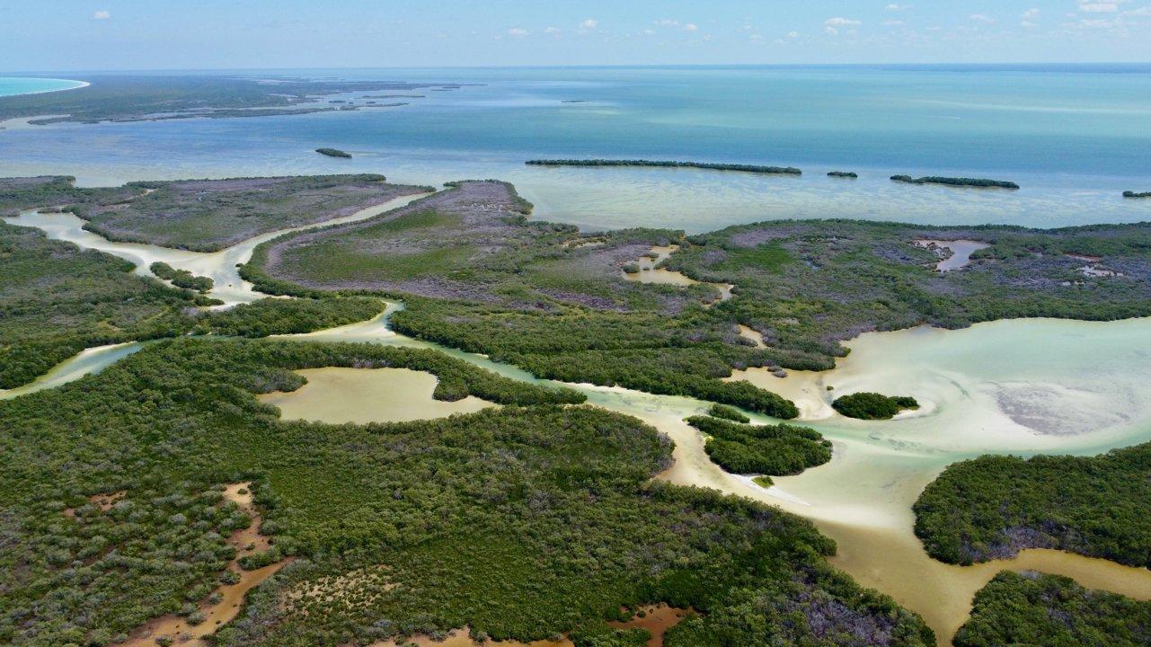 Caza en los Mágicos Bosques Templados de la Sierra Madre, México: Una Guía para el Cazador Aventurero – Descubre Especies, Secretos del Bosque y Regulaciones Esenciales