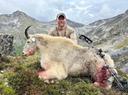 Aron Snyder — a legend in bow hunting and an expert on backcountry hunting gear in the US

Aron Snyder is one of the most recognizable hunting bloggers in the US, specializing in traditional bow hunting and expert backcountry hunting gear. 

Where Aron Snyder hunts: hunting in Colorado, Wyoming, and the Yukon

Snyder prefers to hunt in wild, hard-to-reach places. His main hunting regions are:

The Rocky Mountains of Colorado — a classic Western American hunting destination;
Wyoming — the birthplace of Kifaru production;
Yukon, Canada — the site of his trophy hunting for Canadian moose.

How he hunts: traditional bow and backcountry technique

Aron Snyder is a proponent of traditional bow hunting. He avoids modern crossbows and sights, preferring bare techniques that are as close to natural hunting as possible. This makes him an expert in “traditional bow hunting” and “primitive hunting tactics.”

He practices backcountry hunting: he carries all his equipment with him, sleeps in a tent, and spends up to 150 nights a year in the mountains. This puts him at the top of search queries for phrases such as “backcountry elk hunting gear,” “mountain hunting survival,” and “extreme solo hunts.”

What types of hunting and trophies does Aron Snyder prefer?

Snyder is known as an experienced hunter of:

Elk (Wapiti);
White-tailed deer;
Grizzly and black bears;
Canadian moose (Yukon Moose).

Weapons and equipment: honest reviews of Kifaru and Havalon

Aron Snyder is not just a hunter, but also an authority in the world of equipment:

CEO of Kifaru International, the flagship brand of backpacks and tents for hunting;
Regular equipment reviewer for First Lite, Stone Glacier, Christensen Arms, Havalon Knives, and others.

Podcasts and media: Kifarucast, Born Primitive, MeatEater

Snyder actively promotes hunting knowledge through the media:

Host of the Kifarucast podcast;
Guest on Born Primitive Outdoor, MeatEater Hunting Collective, Western Rookie, and Bowjunky Podcast.

Aron Snyder's Instagram (118k followers): @aron_snyder