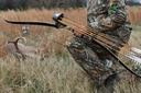 Revival of Traditional Hunting Methods: 
There has been a renewed interest in traditional hunting techniques, particularly among younger hunters. These methods, such as u
