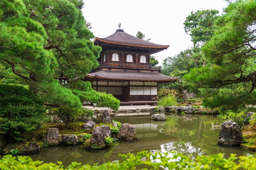 대구광역시에서의 사냥: 지역의 자연 환경과 사냥 문화 