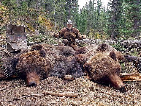 На Камчатке открывается охота на медведей