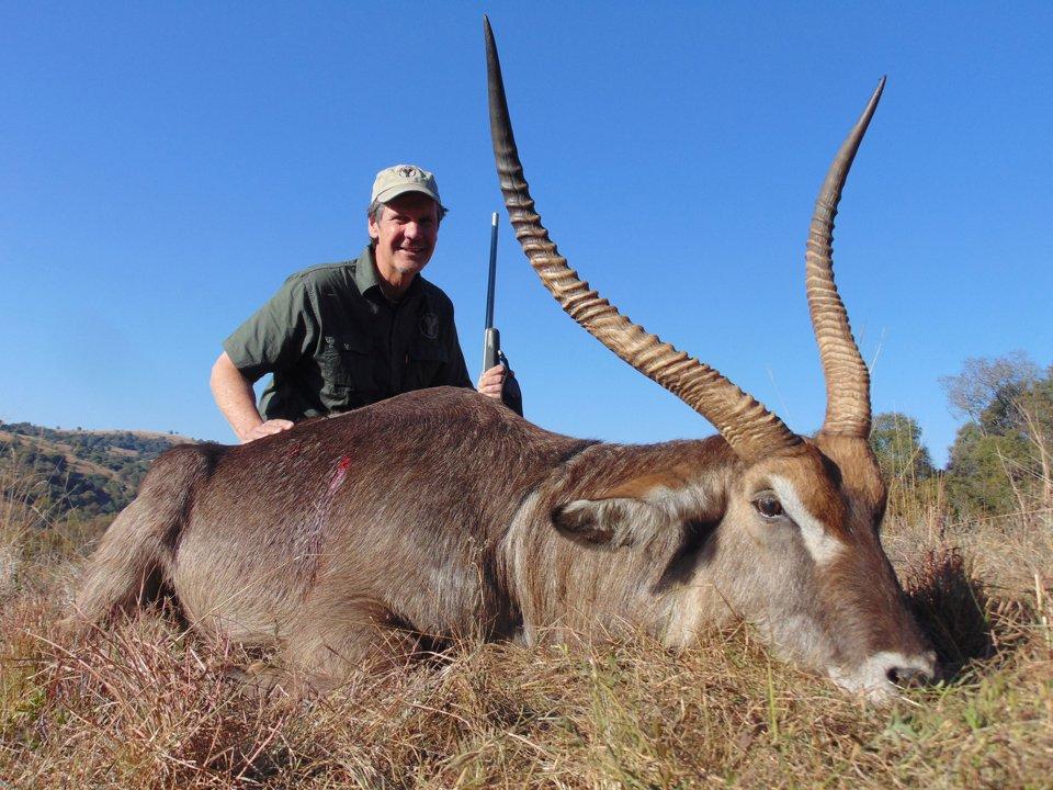 Hunting in the Free State: Blesbok Hotspots, Open Plains Shooting, and Safari Traditions