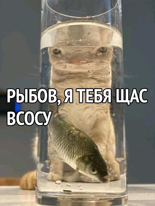 Photo from news post