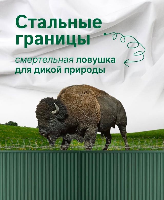 Photo from news post