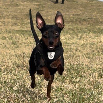 rusne avatar