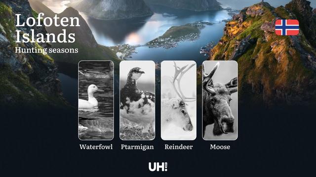 <strong>Hunting</strong> Seasons in Lofoten Islands: Restrictions, Bans, and Protected Species, Choosing Timing, Gear, and Tactics