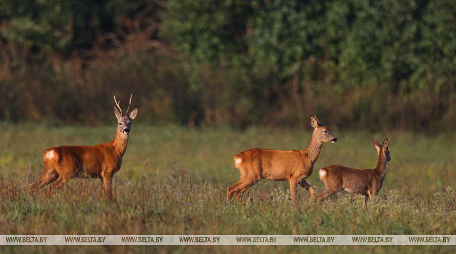 Photo from news post