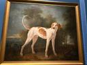 Magnifique portrait de Polydore par Jean-Baptiste Oudry (1686-1755)

Essentiels à la chasse, les chiens
(dits couchants pour lever le gibier
la chasse à tir ou courants p