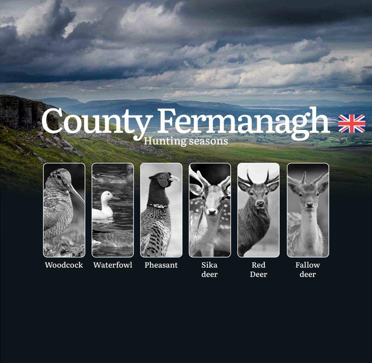Hunting Seasons and Regulations in County Fermanagh: Seasonal Patterns and Game Activity, How to Obtain a Hunting License in the Region