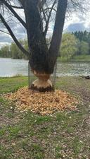 Post