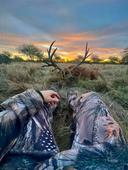 The golden hour and a beautiful deer. 
I do not need more …🔥🦌