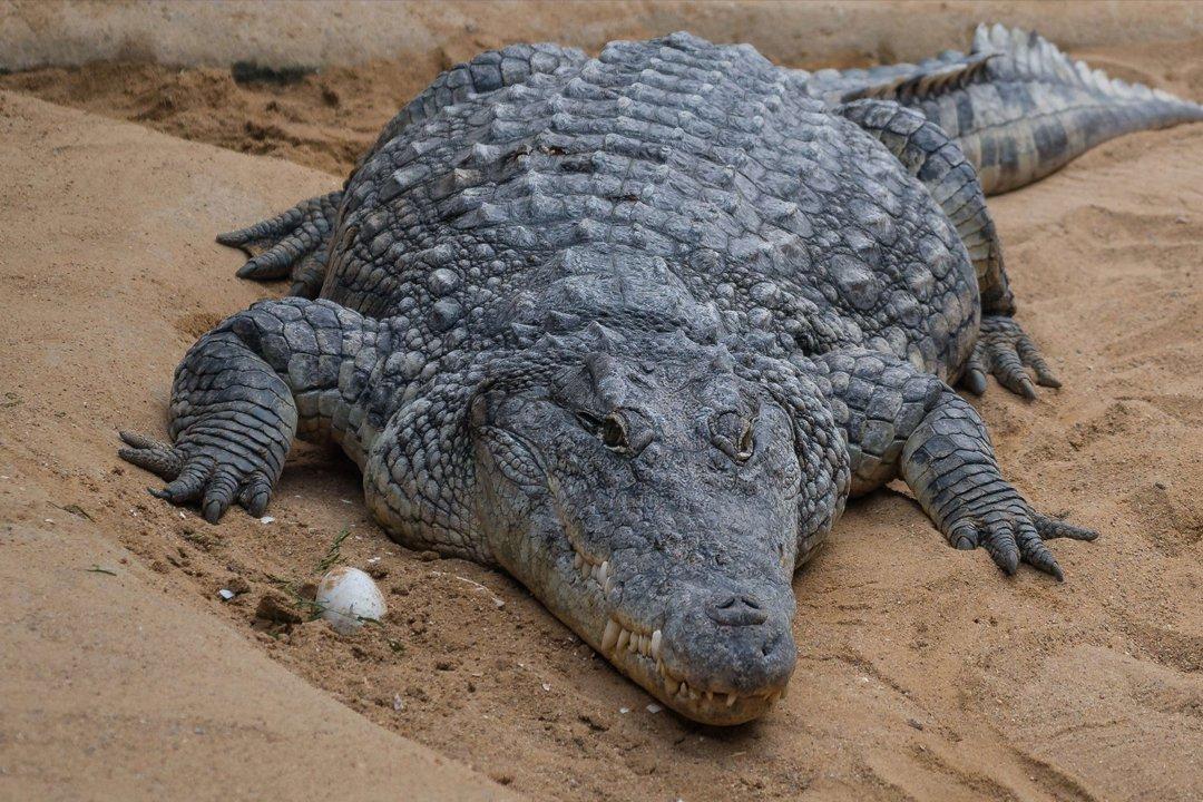 Caza en Baja California: Vive la experiencia única con especies únicas, paisajes impresionantes y regulaciones clave para disfrutar al máximo