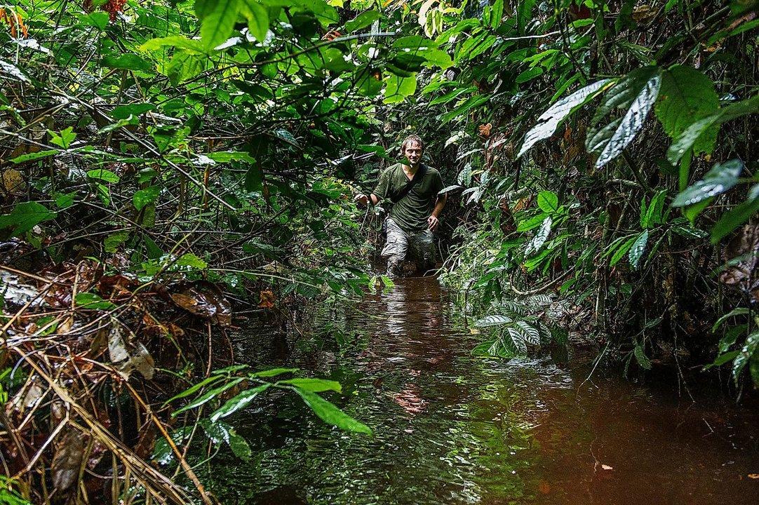 Hunting in Pointe-Noire: Coastal Ecosystems, Urban-Rural Hunting Demographics, and Game Access