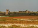 Matam Hunting Guide: Legislation, Communities, Clubs and Species. From Waterfowl to Warthogs Along the Senegal River

The Matam Department in Senegal is a captivating des