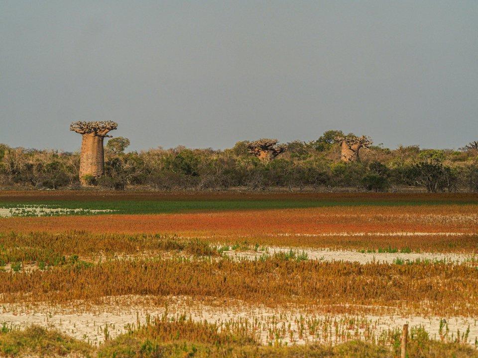 Matam Hunting Guide: Legislation, Communities, Clubs and Species.