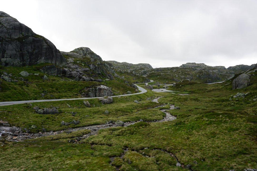Røros Hunting Traditions: A Blend of Culture and Wilderness.