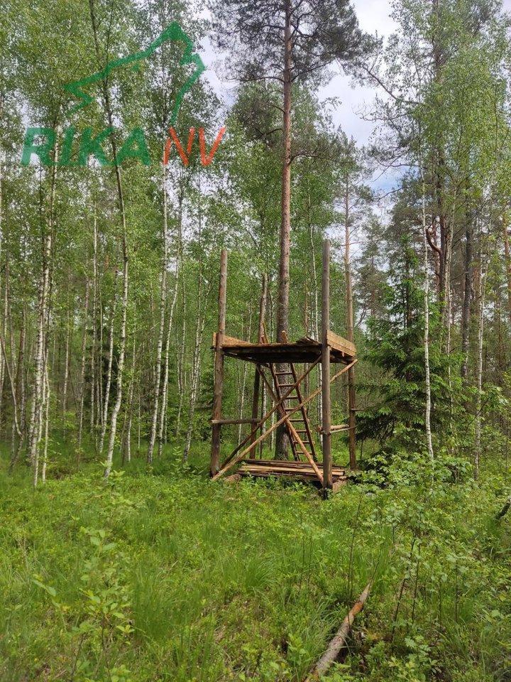 Photo from news post