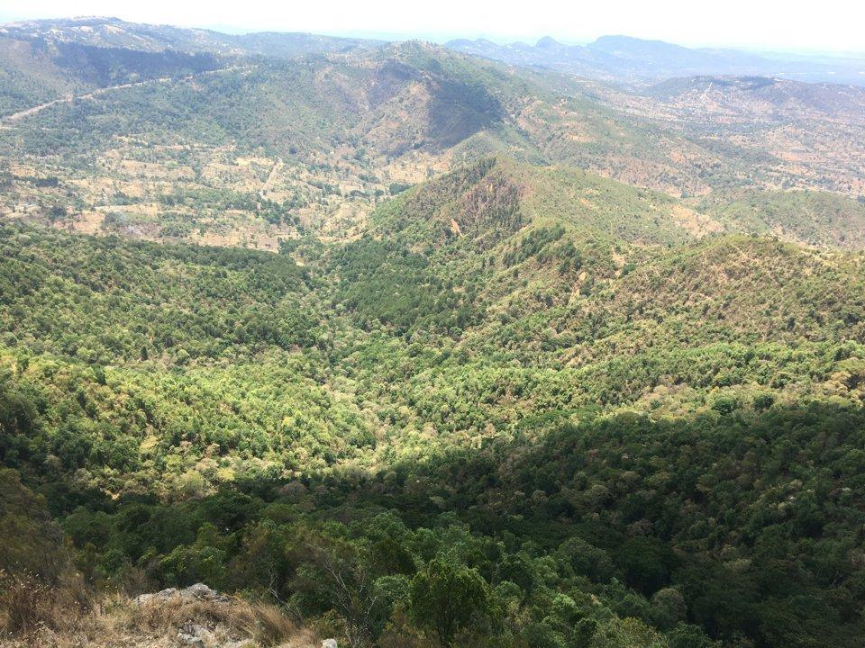 Oromia Region Hunting: Discover Majestic Wildlife, Ideal Hunting Seasons, and Rich Cultural Traditions – A Journey into Ethiopia’s Natural Heritage