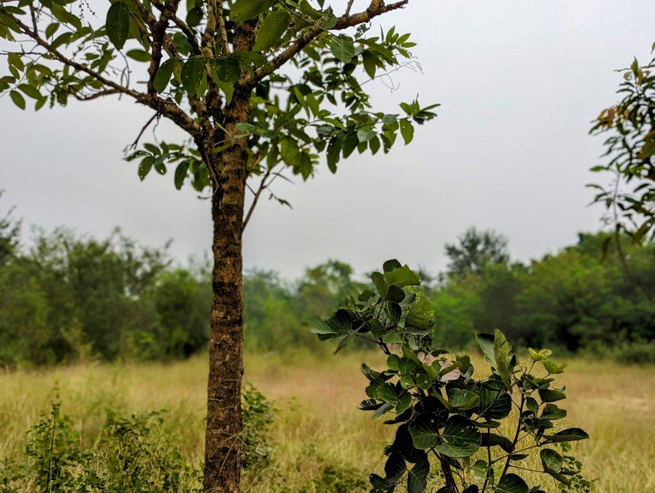 Hunting in North East Ghana: Exploring Geography, Examining Legislation, and Learning Interesting Facts