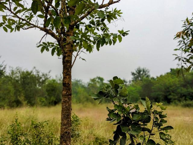 Hunting in North East Ghana: Exploring Geography, Examining Legislation, and Learning Interesting Facts