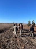 Woodcock Hunting in Morocco: A Comprehensive Guide for Bird Hunters 🪶

Woodcock hunting in Morocco is a rewarding pursuit that blends the thrill of wingshooting with the country’s rich landscapes and migratory bird patterns. The Eurasian Woodcock (Scolopax rusticola) arrives in Morocco during its seasonal migration, offering hunters a rare opportunity to pursue one of the most elusive and challenging game birds in dense forest terrain. This guide covers everything from species behavior and seasonal timing to hunting methods, prime locations, and legal considerations.

---

🐦 Species Profile: Eurasian Woodcock

• Scientific Name: Scolopax rusticola
• Size: 33–38 cm length, 250–350g weight
• Behavior: Nocturnal, solitary, prefers dense woodland cover
• Vision: 360° field of view—exceptional among birds
• Migration: Arrives from Europe in late autumn, winters in Morocco

Woodcock are lucifuge by nature—avoiding light and favoring shaded, humid environments. Their erratic flight and cryptic plumage make them a prized target for experienced hunters.

---

🗓️ Seasonal Timing

Woodcock hunting in Morocco aligns with the bird’s migratory cycle:

• Season: Late October to end of February
• Peak Months: Mid-November to late January
• Hunting Days: Friday to Monday only
• Spring Migration: Birds begin returning north in March; hunting may be restricted during breeding periods

Autumn offers the highest influx of birds, while winter provides more predictable movement patterns. Spring sightings are possible but often regulated to protect nesting populations.

---

📍 Prime Hunting Locations

Woodcock favor humid forests and shaded valleys. Top regions include:

• Middle Atlas (Azrou & Ifrane): Cork oak forests with ideal cover
• Benslimane Province: Mixed terrain with vineyards and scrub
• Meknes Region: Grain fields and forest margins
• Northern Morocco (Rabat to Tangier): Coastal humidity supports strong wintering populations

Outfitters like River Camp Morocco and Hunting Pleasure manage exclusive territories with proven bird density and professional guides.

---

🎯 Hunting Techniques

1. Walked-Up Hunting Over Dogs

• Most effective method
• Dogs used: English Setter, Brittany Spaniel, German Shorthaired Pointer
• Hunters walk in line; dogs locate and flush birds
• Requires silence, patience, and fast reflexes

2. Solo Walk-and-Flush

• For hunters without dogs
• Slow zig-zag walking through dense cover
• Birds flush unpredictably—shots are fast and close

3. Static Hunting at Dusk

• Rarely used, but possible near feeding zones
• Hunters wait in blinds at forest edges
• Requires knowledge of bird movement and terrain

---

💰 Costs & Packages

Typical 3-day woodcock hunt includes:

• Price: €1,700–€2,500
• Includes: Transfers, guides, dogs, meals, lodging
• Extras:• License & insurance: €100–€150
• Ammo: €100/250 shells
• Gun rental: €30–€50/day
• Tips: €10–€20/day for guides and dog handlers

---

🧾 Legal Requirements

• Moroccan Hunting License (foreigners must present home-country license)
• Species-Specific Permit (issued per hunt zone)
• Insurance Certificate (mandatory)
• Firearm Import Permit (shotguns only; semi-autos may be restricted)

---

🧭 Final Thoughts

Woodcock hunting in Morocco is not about volume—it’s about precision, patience, and respect for the bird’s elusive nature. With strong migratory influxes, regulated seasons, and professional local outfitters, Morocco offers a genuine wingshooting experience for hunters who value challenge over convenience.