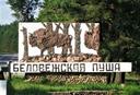 Охота в Беларуси - это прекрасное занятие, которое пользуется большой популярностью у населения. Но не все знают, что на территории страны существуют особые зоны, где вед