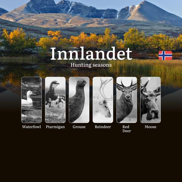 Hunting Seasons in Innlandet: Regulations, Permits, and Time for Hunting, Documents and Organizations