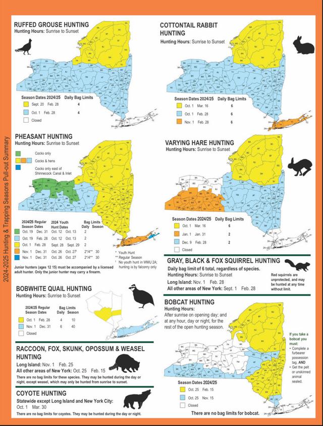 HUNTING SEASONS IN NEW YORK 2025–26: Deer Hunting, Big Game and Small Game, Licenses, and Regulations Guide