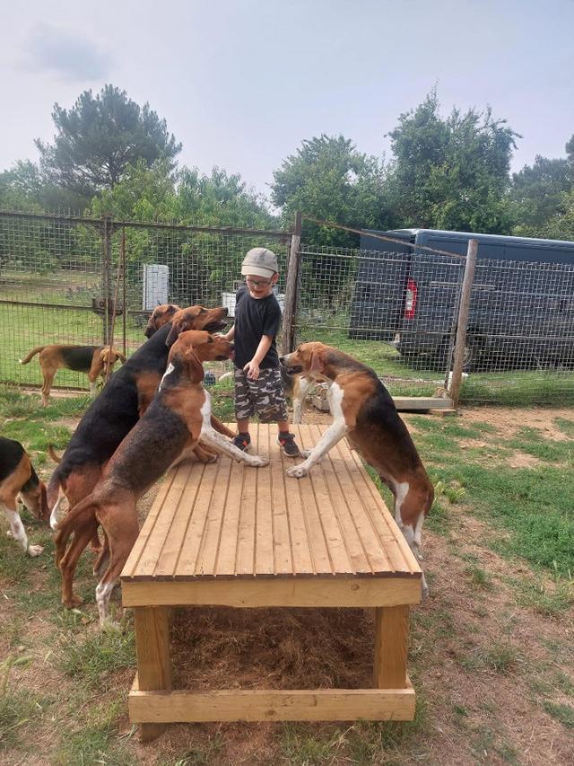 Photo from news post
