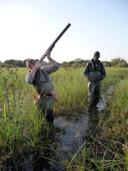 SHOOTING EXPEDITIONS SENEGAL , WEST AFRICA 
I only have three dates left for guided Senegal shooting trip at the superb Ranch de Bango . 
At Present these dates for departure { all 7 night trips with 5 days 
Fully guided shooting , 2 sessions per days } 
15th - 22nd January 2024  4 spaces
25th - 3rd Feb 2024 5 spaces    
4th - 11th March 2 spaces  £ 2860 per person 
These prices are inclusive of 
International flights { RAM via Casablanca } 
2 x 23kg Checked in bags 
Airport Transfers 
7 nights Full Board accommodation in an AC ensuite pool view room 
5 days Fully Guided shooting { 2 sessions per day } 
Based on 2 shooters sharing a room. { Single rooms are available at an extra £27 per person per night } 
Shooting is a challenging mix of Ducks ,Geese , Doves , Pigeons , Sandgrouse , Snipe , African Francolin , Hares , Golden Plover and stalking trophy bushpigs . Something and somewhere different virtually every time you go out. Generous bag limits of 20 ducks per session 2 sessions per day. 
The accommodation is 4 star with French restaurant , pool and well stocked bar , also during your stay you will visit our tented lodge { tents have AC and ensuite bathroom } and there is a bar and restaurant , so not the type of tent you would normally associate with a camping holiday . Wives and partners would enjoy this combination of fabulous food comfortable accommodation and a relaxed atmosphere. Riding  , shopping and treatments are available . This is an extremely safe and friendly location. 
Anyway if any of you guys would like some details please message me and I will put together a package . 
