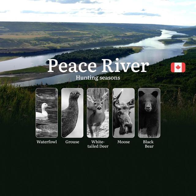 Hunting Seasons in Canada's PEACE RIVER Region: Opening & Closing Dates, License Requirements and Must-Know Regulations
