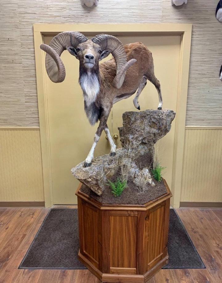 Photo from news post