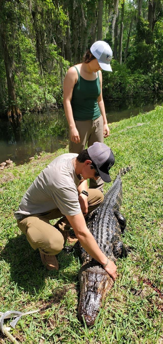 Photo from news post
