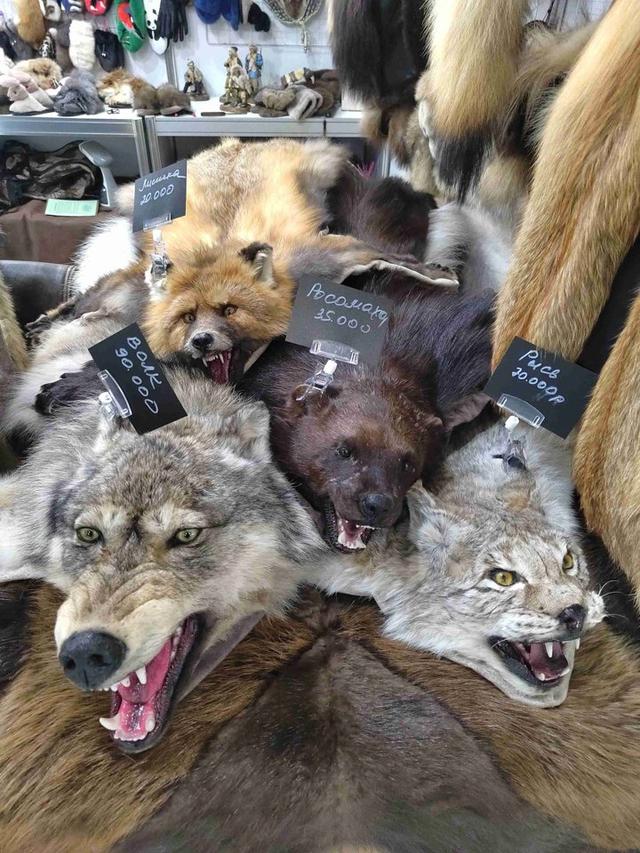 Photo from news post