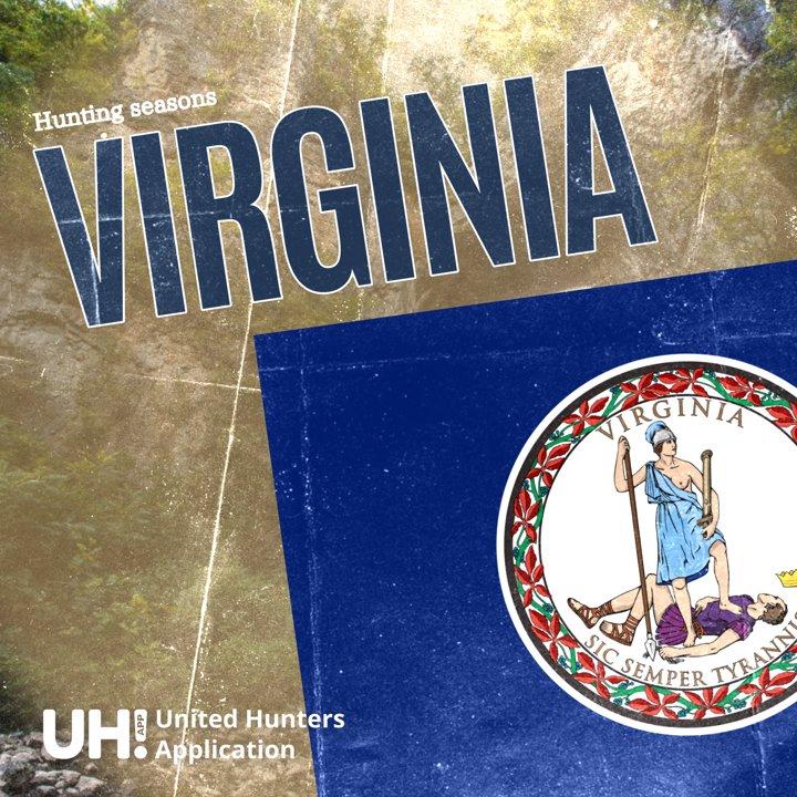 Hunting Seasons in Virginia 2025: Big Game and Small Game, Licenses, and Regulations Guide