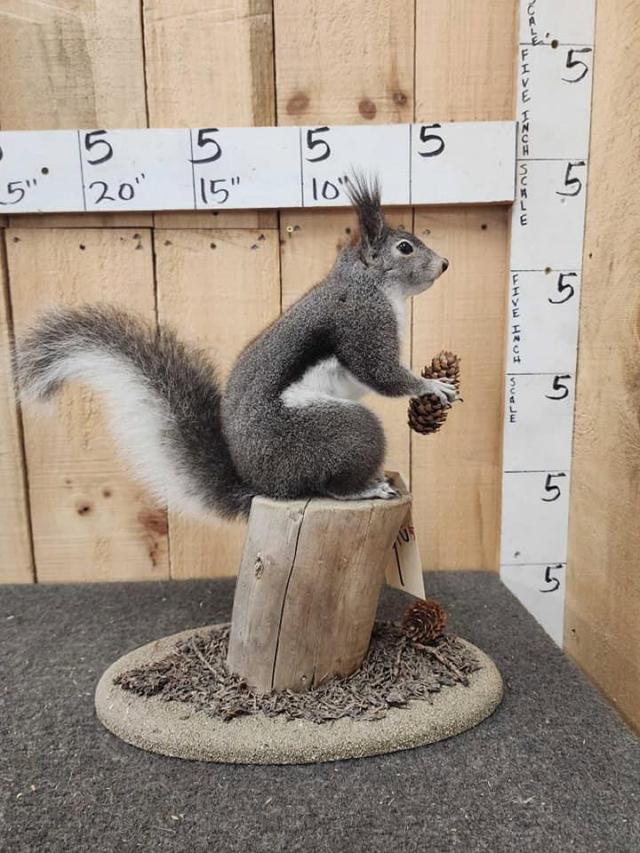 Photo from news post