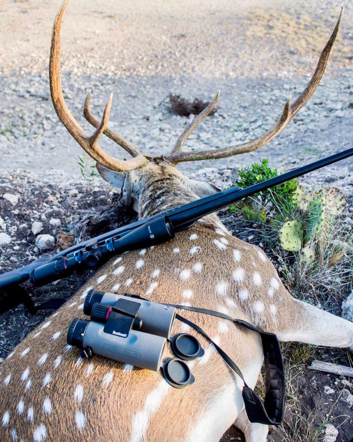 Top 10 Rifles for Deer Hunting in 2025: Expert Picks 🦌