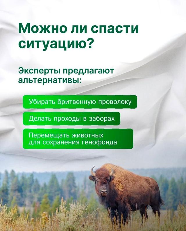 Photo from news post